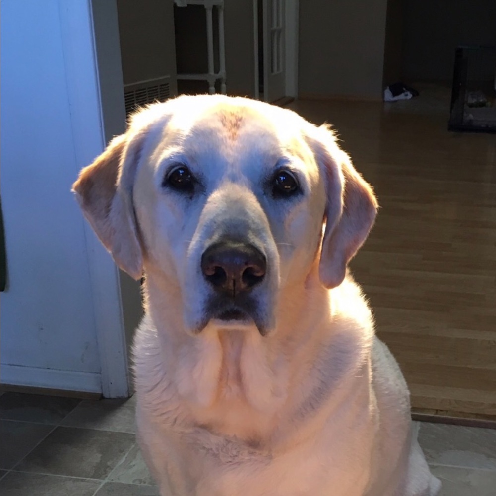 Meet your Posher, Lori